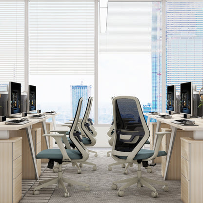 Modern office setup with ergonomic chairs and computer monitors in a bright room with large windows.
