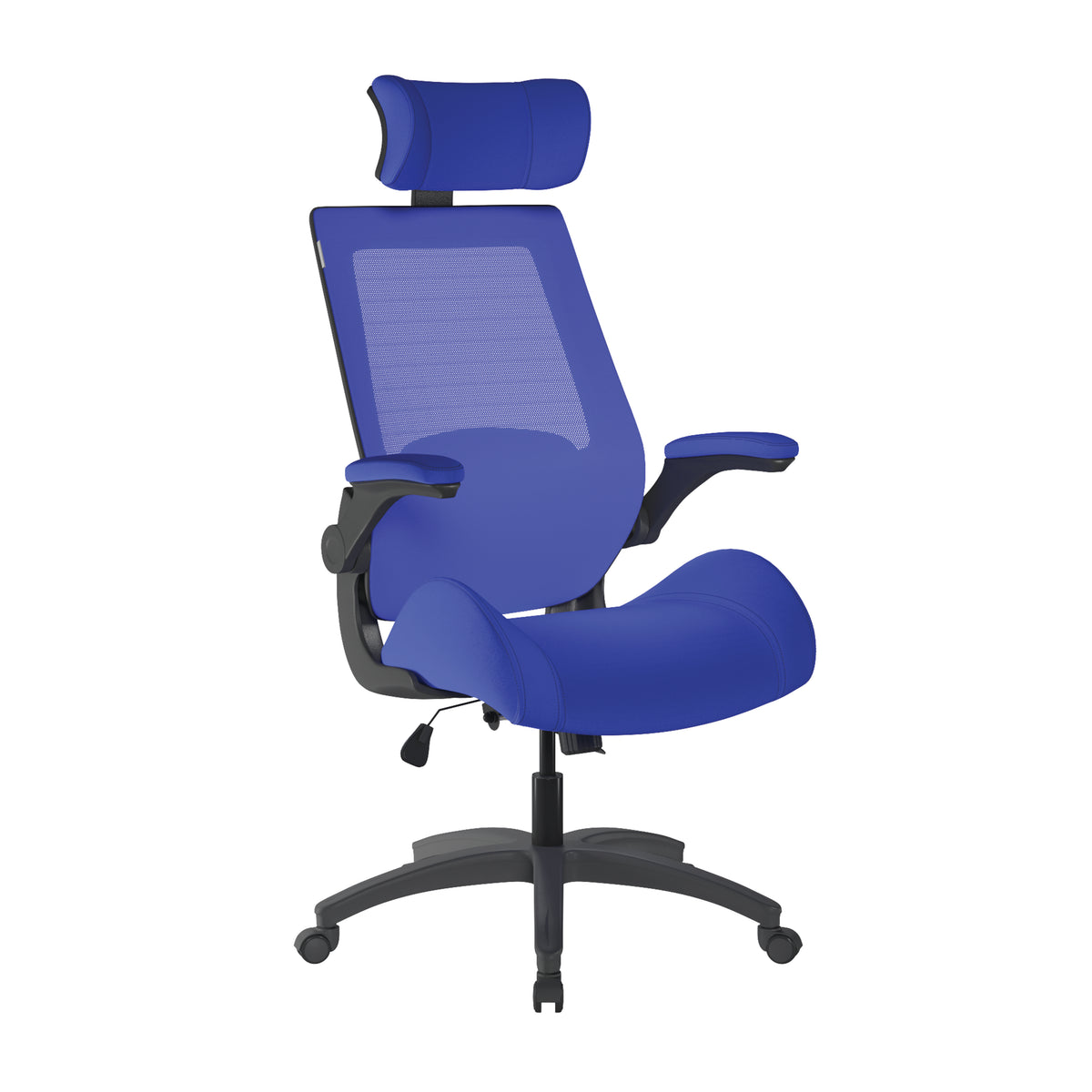 Resolute Mesh Chair in Blue