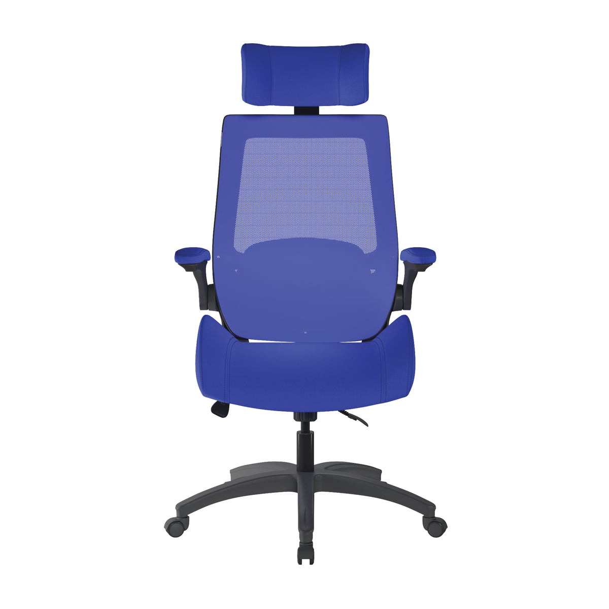 Resolute Mesh Chair in Blue, front view
